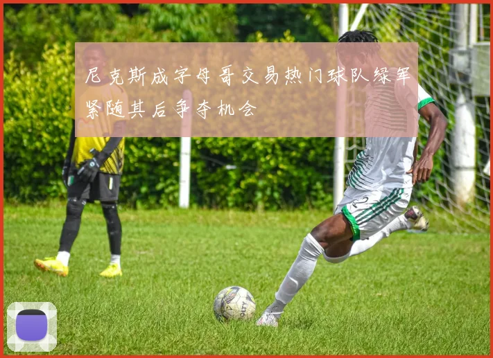 尼克斯成字母哥交易热门球队绿军紧随其后争夺机会