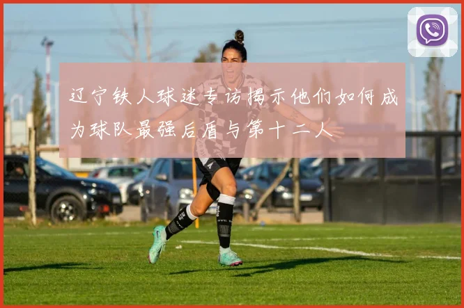 辽宁铁人球迷专访揭示他们如何成为球队最强后盾与第十二人