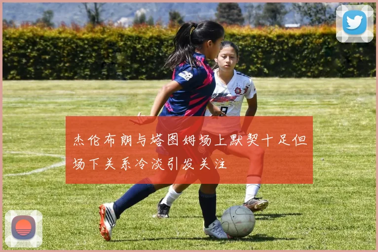 杰伦布朗与塔图姆场上默契十足但场下关系冷淡引发关注