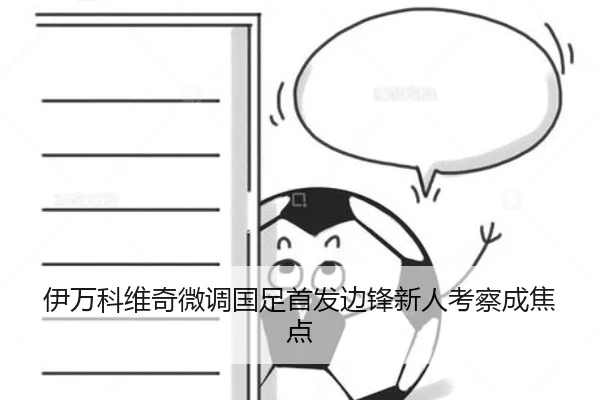 伊万科维奇微调国足首发边锋新人考察成焦点 | bsport